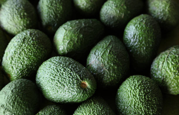 Fresh Hass avocados